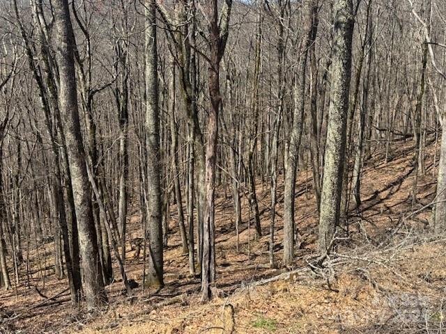 Property at 261 Grouse Thicket Lane, Mars Hill, NC 28754