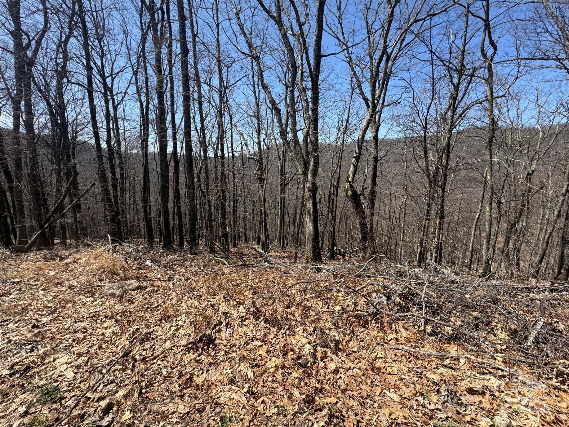 334 335 336 Hamlin Lane