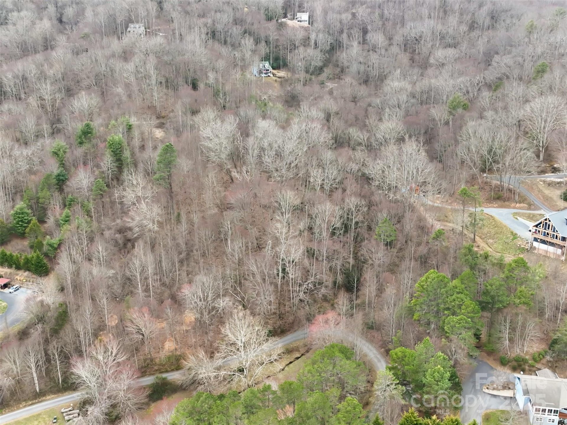 Property image 5 at 999 Coyote Hollow Road, Waynesville, NC 28785