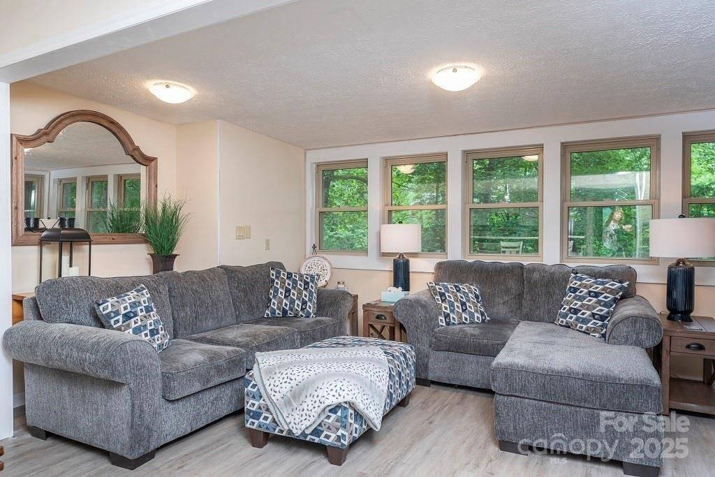 Property image 4 at 126 Hillside Court, Lake Lure, NC 28746