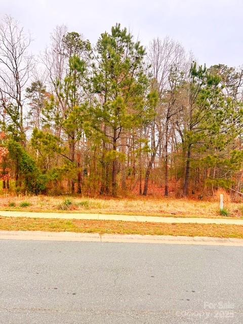 Property image 1 at 213 Delancy Street, Locust, NC 28097