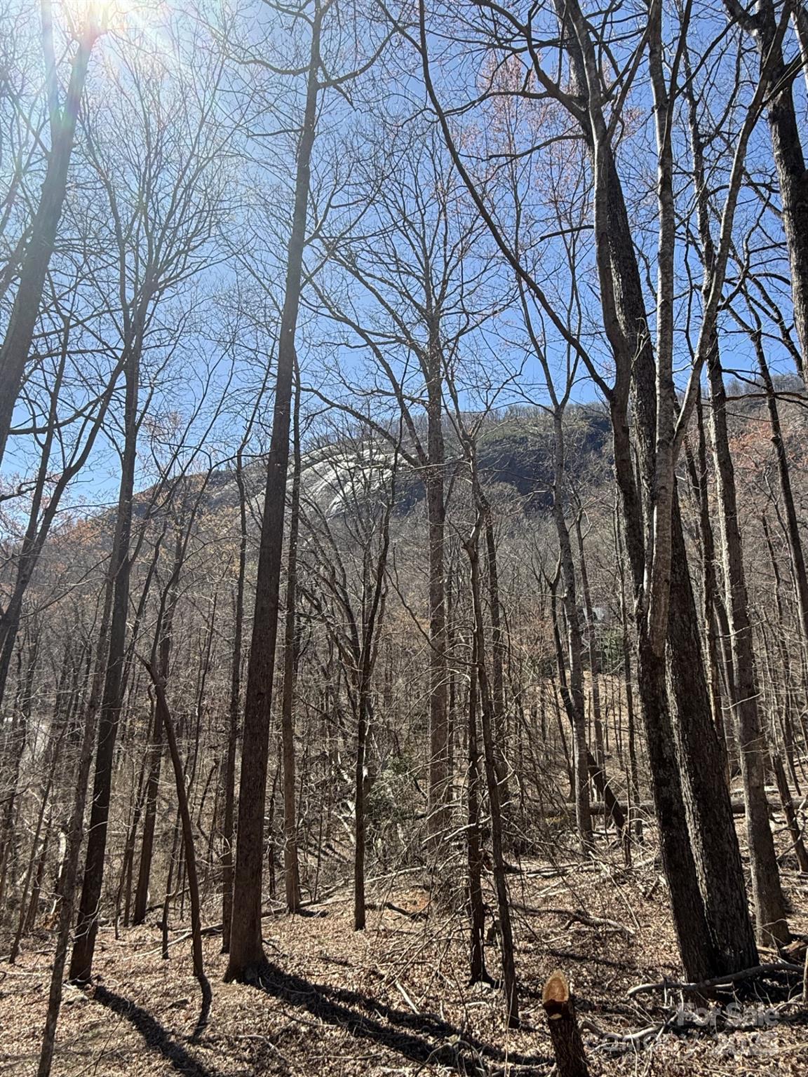 Property image 2 at Lot 229 Swallow Lane, Lake Lure, NC 28746
