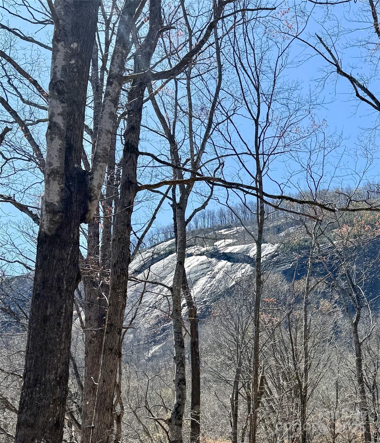 Property image 3 at Lot 229 Swallow Lane, Lake Lure, NC 28746