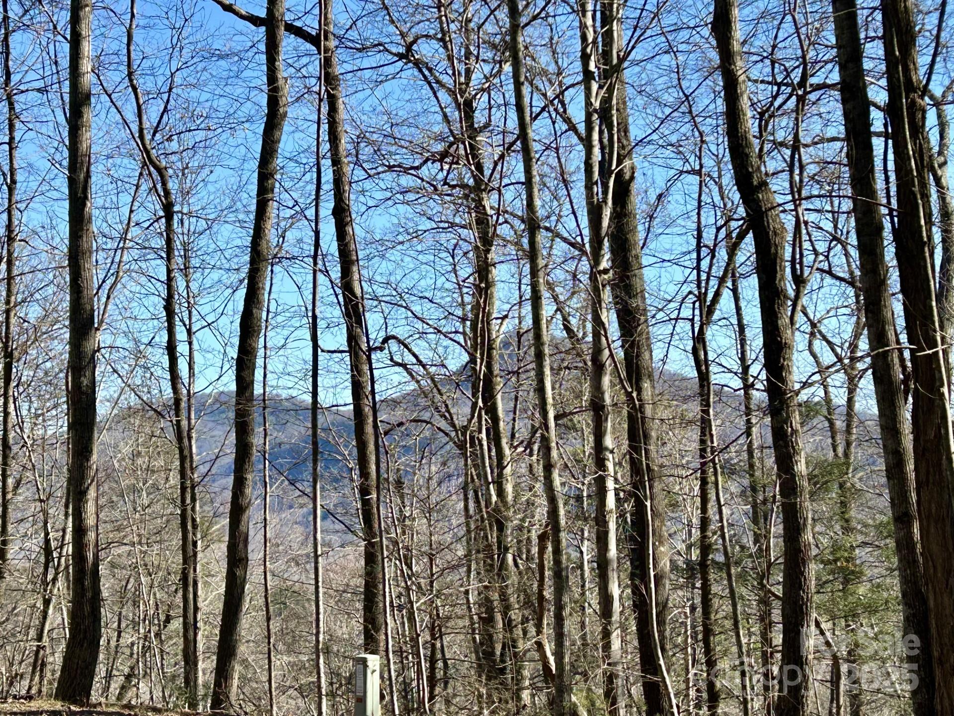 Property image 4 at Lot 229 Swallow Lane, Lake Lure, NC 28746