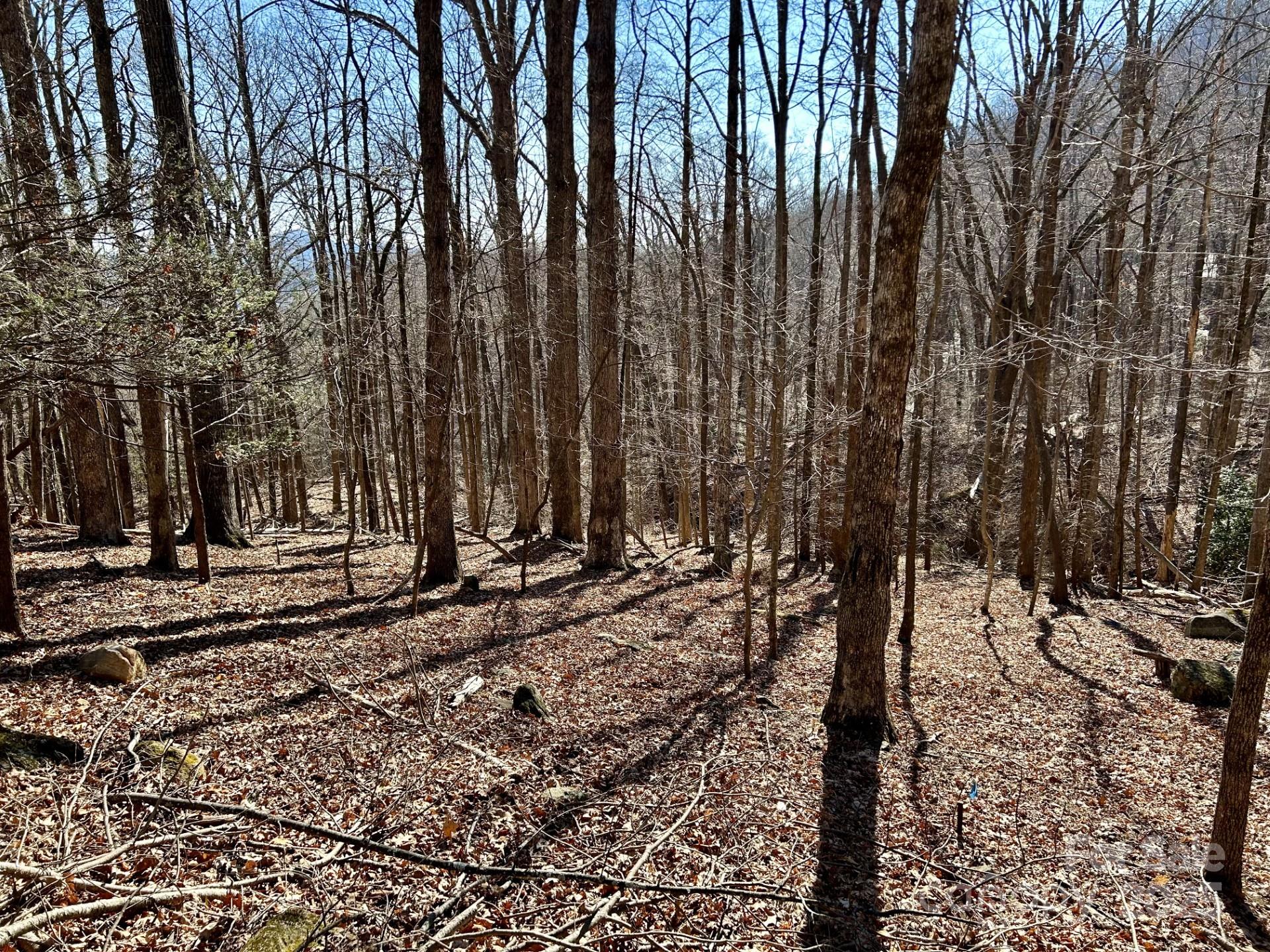 Property image 5 at Lot 229 Swallow Lane, Lake Lure, NC 28746