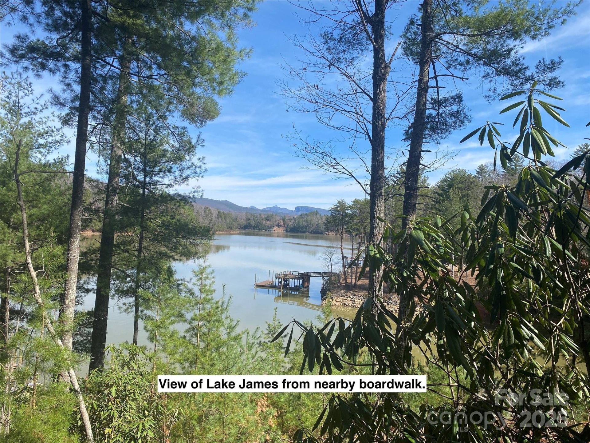 Property image 2 at 152 Dockside Drive, Nebo, NC 28761