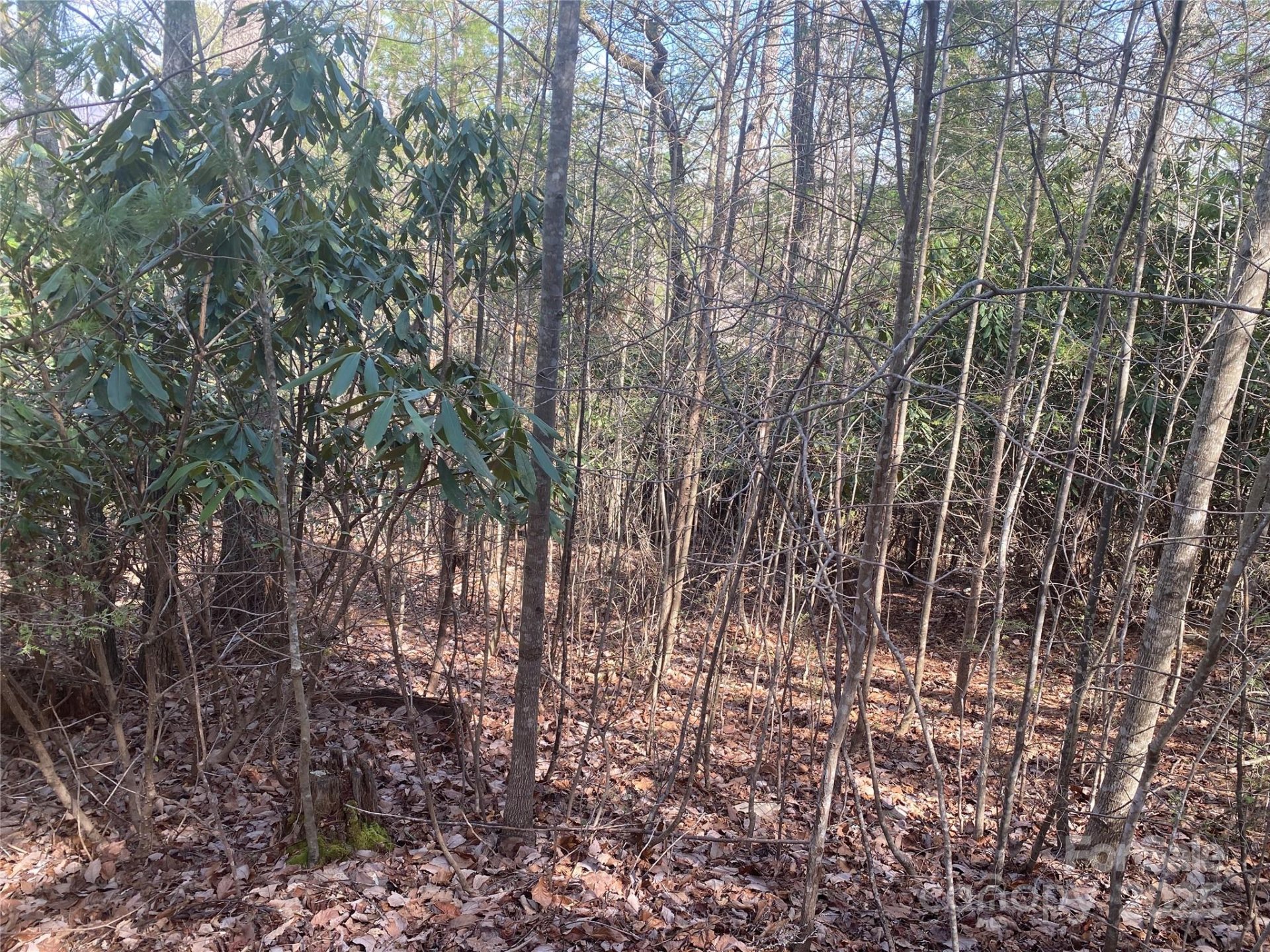 Property image 5 at 152 Dockside Drive, Nebo, NC 28761