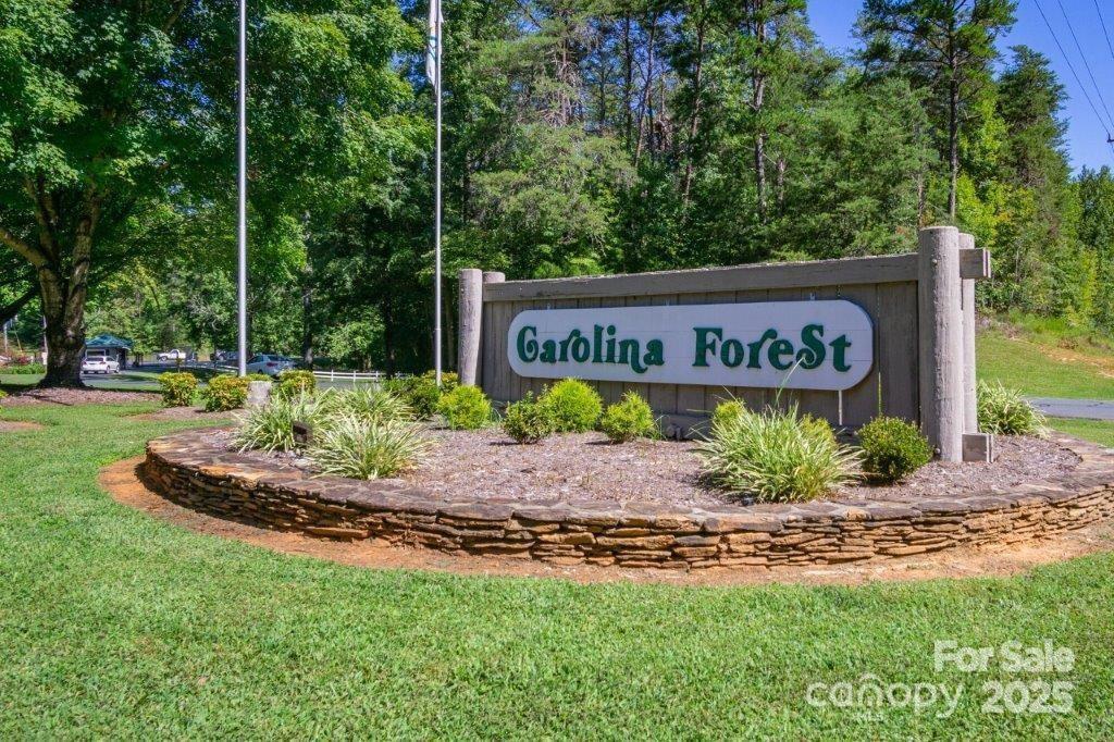 491 Carolina Drive