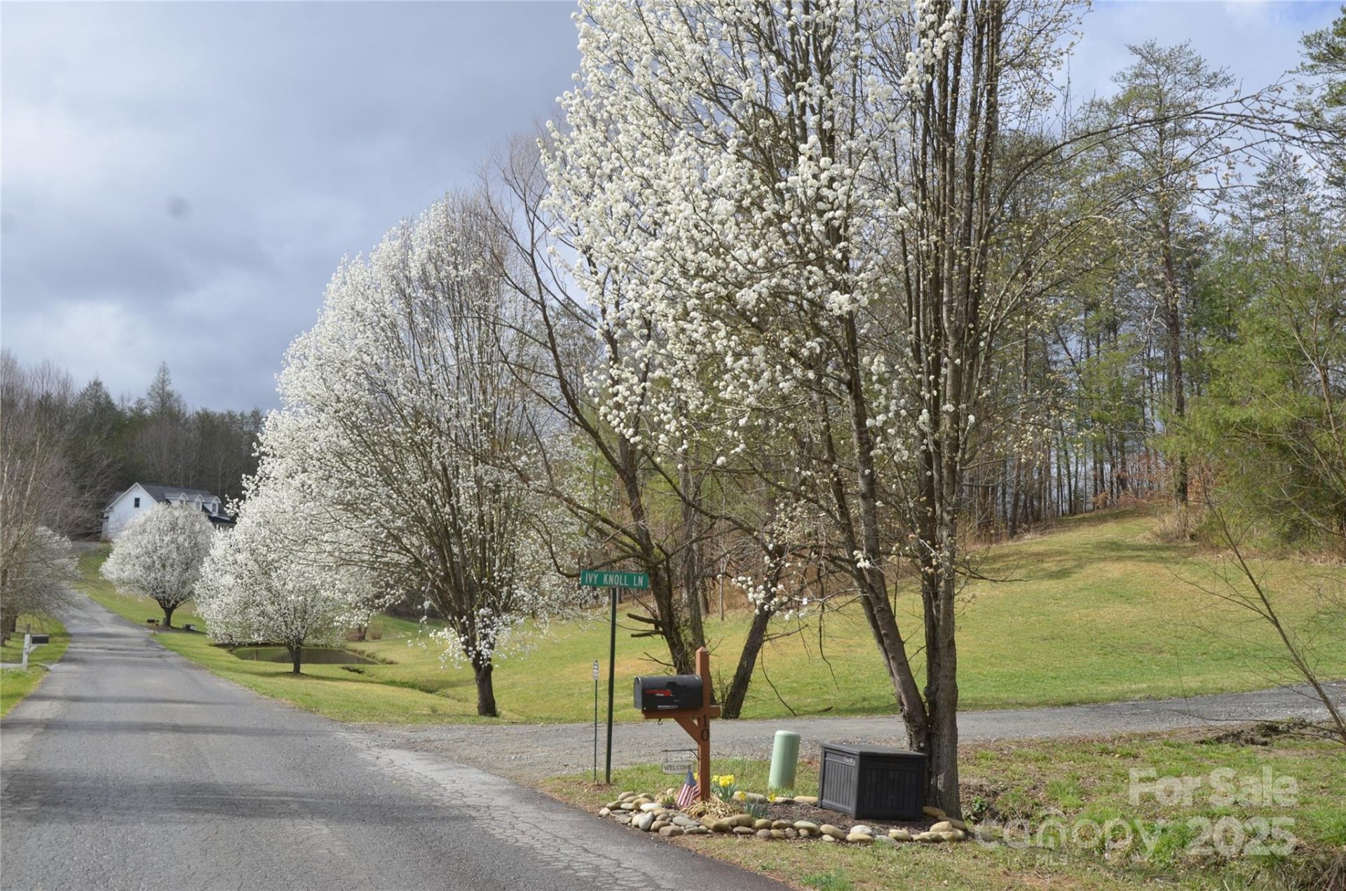 Property image 2 at 63 Ivy Meadows Drive, Weaverville, NC 28787