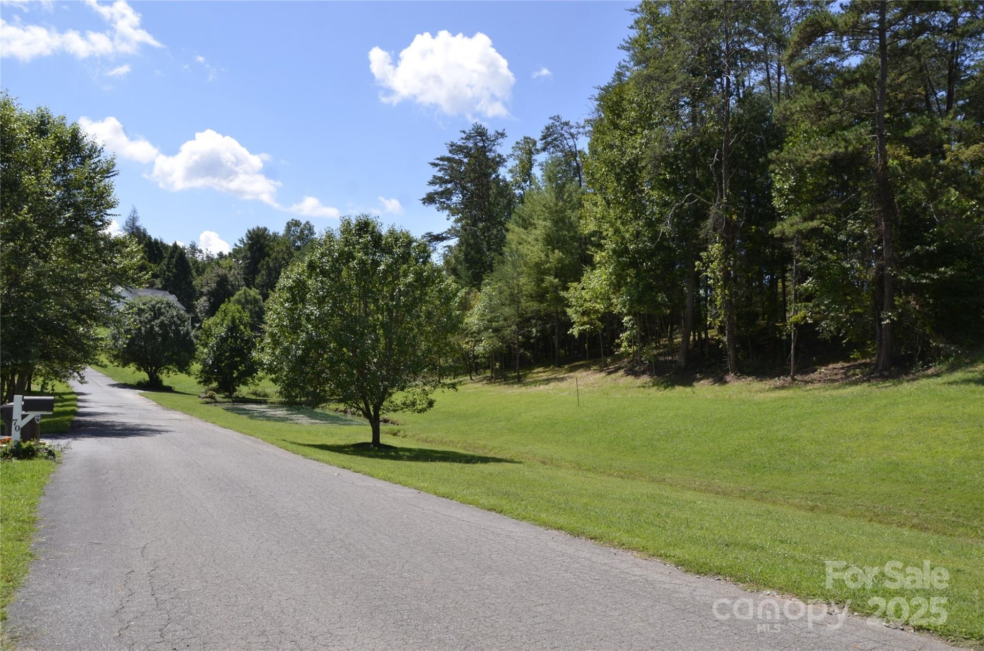 Property image 3 at 63 Ivy Meadows Drive, Weaverville, NC 28787