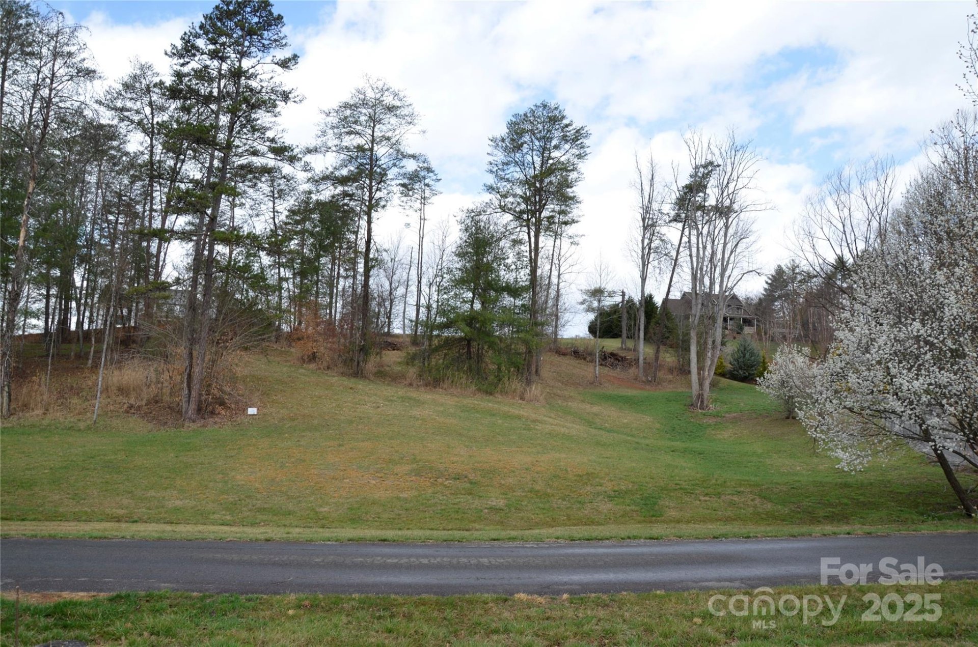 Property image 4 at 63 Ivy Meadows Drive, Weaverville, NC 28787
