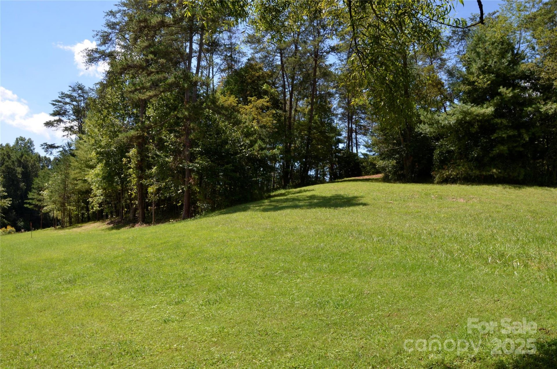 Property image 5 at 63 Ivy Meadows Drive, Weaverville, NC 28787