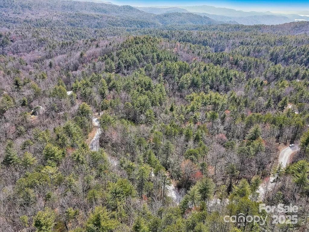 Property image 2 at 99 Oak Laurel Road, Brevard, NC 28712