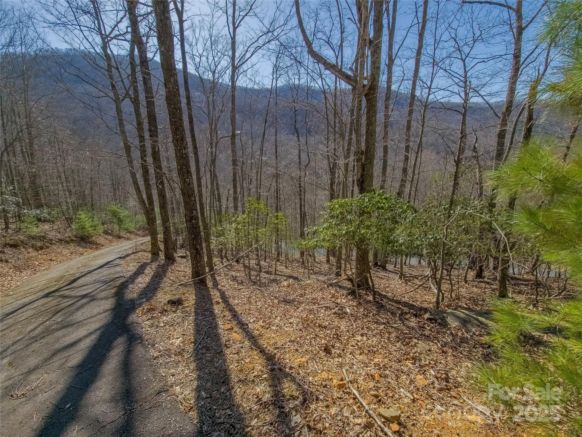 Property image 3 at 195 Smokemont Drive, Arden, NC 28704