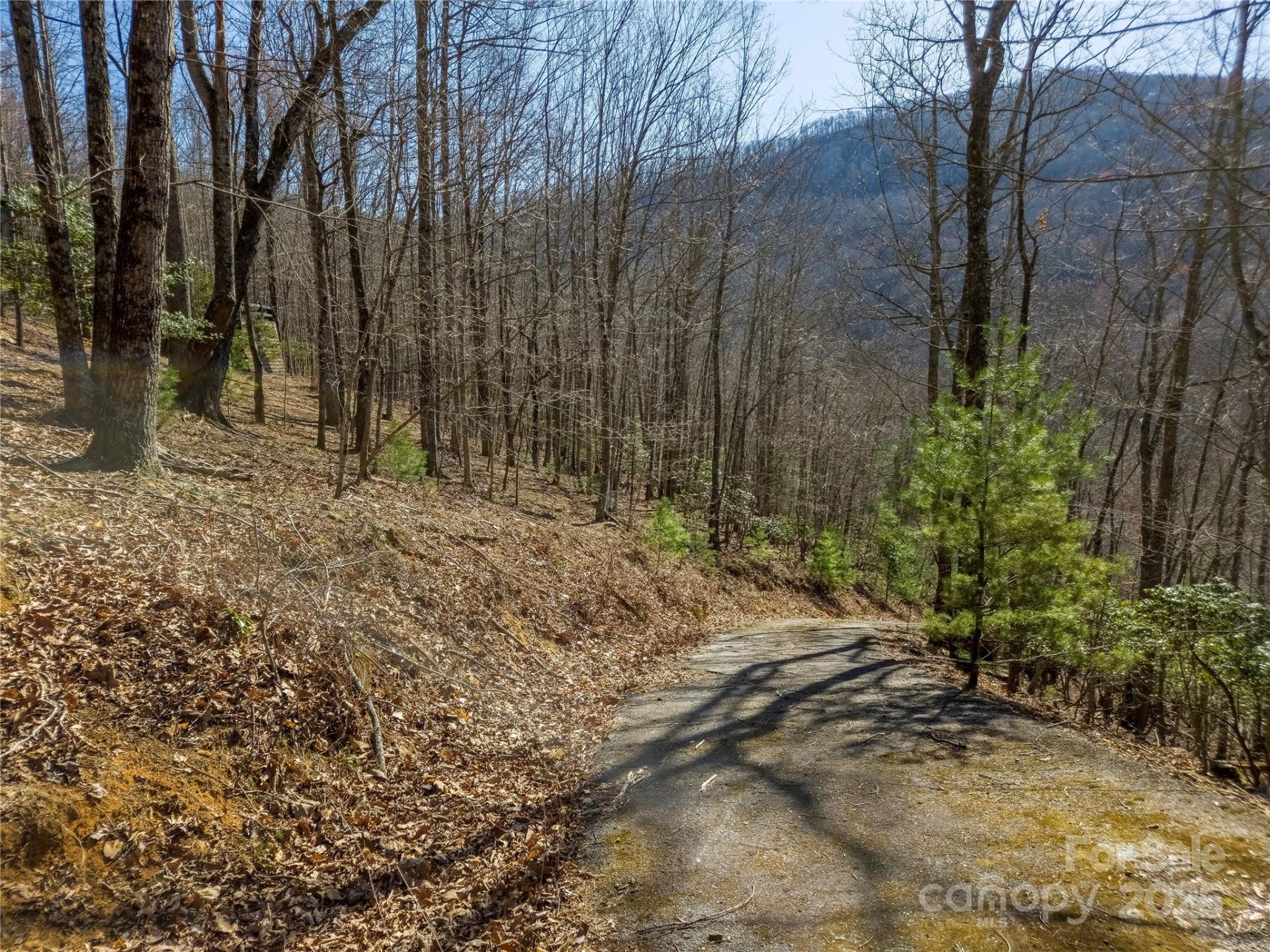 Property image 4 at 195 Smokemont Drive, Arden, NC 28704