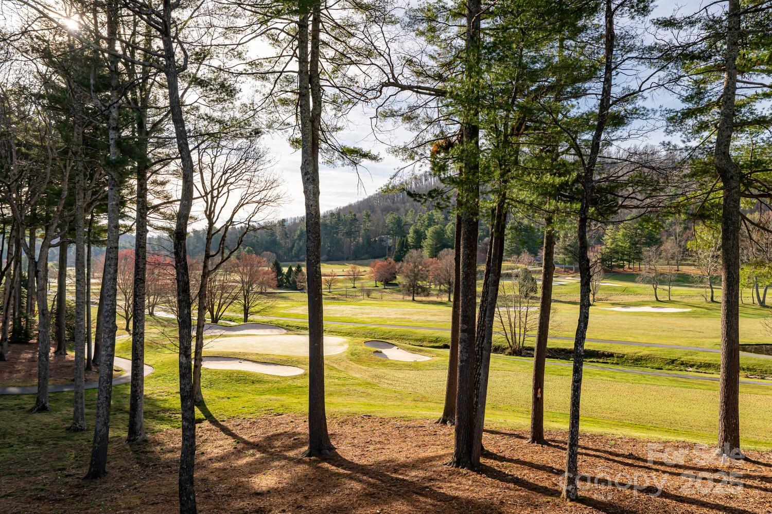 Property image 2 at 155 Winding Meadows Drive, Flat Rock, NC 28731