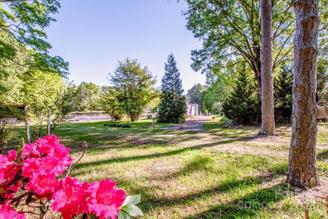 Austin Park, Charlotte Community