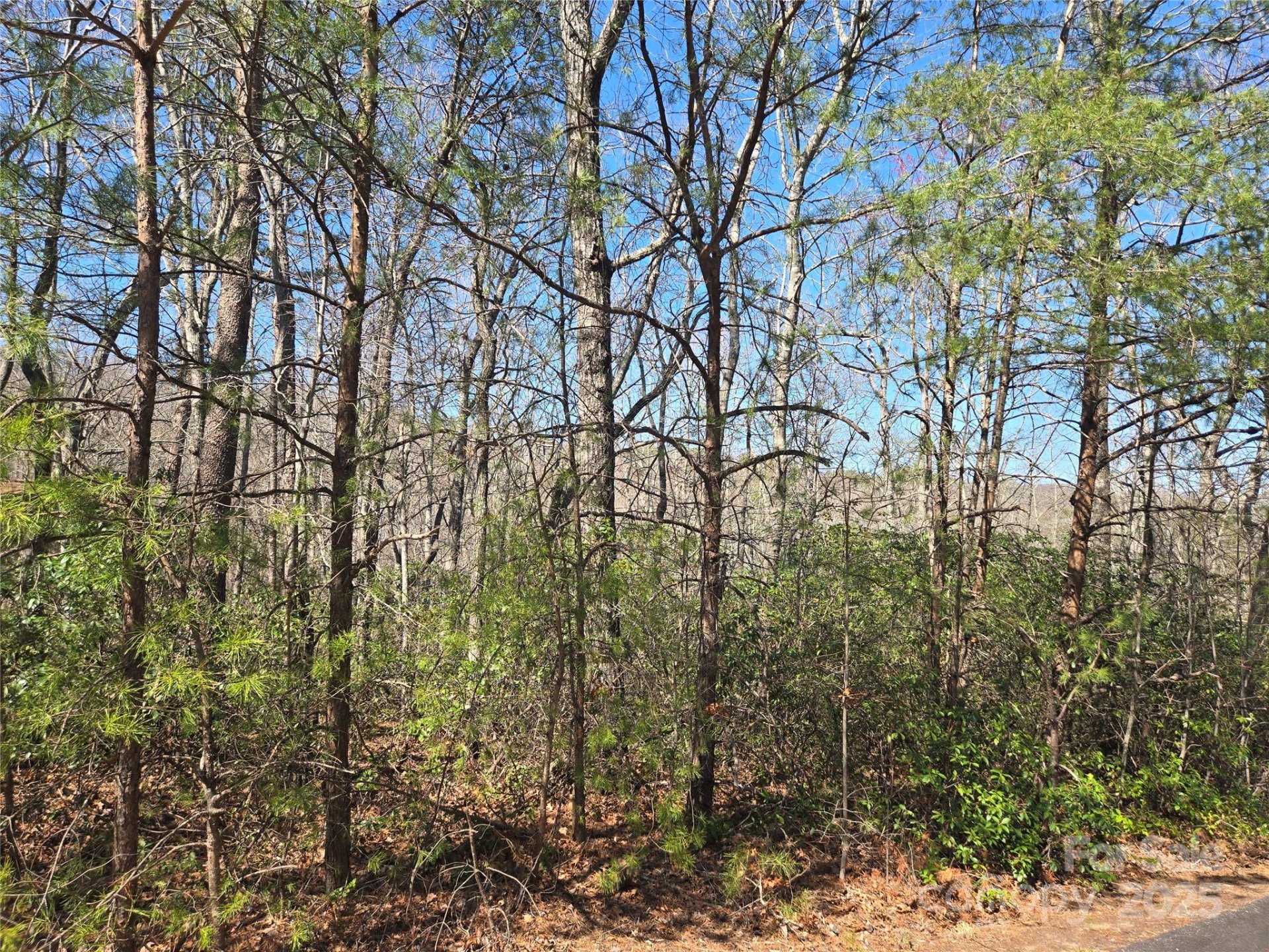 Lot 39 Flynn Court