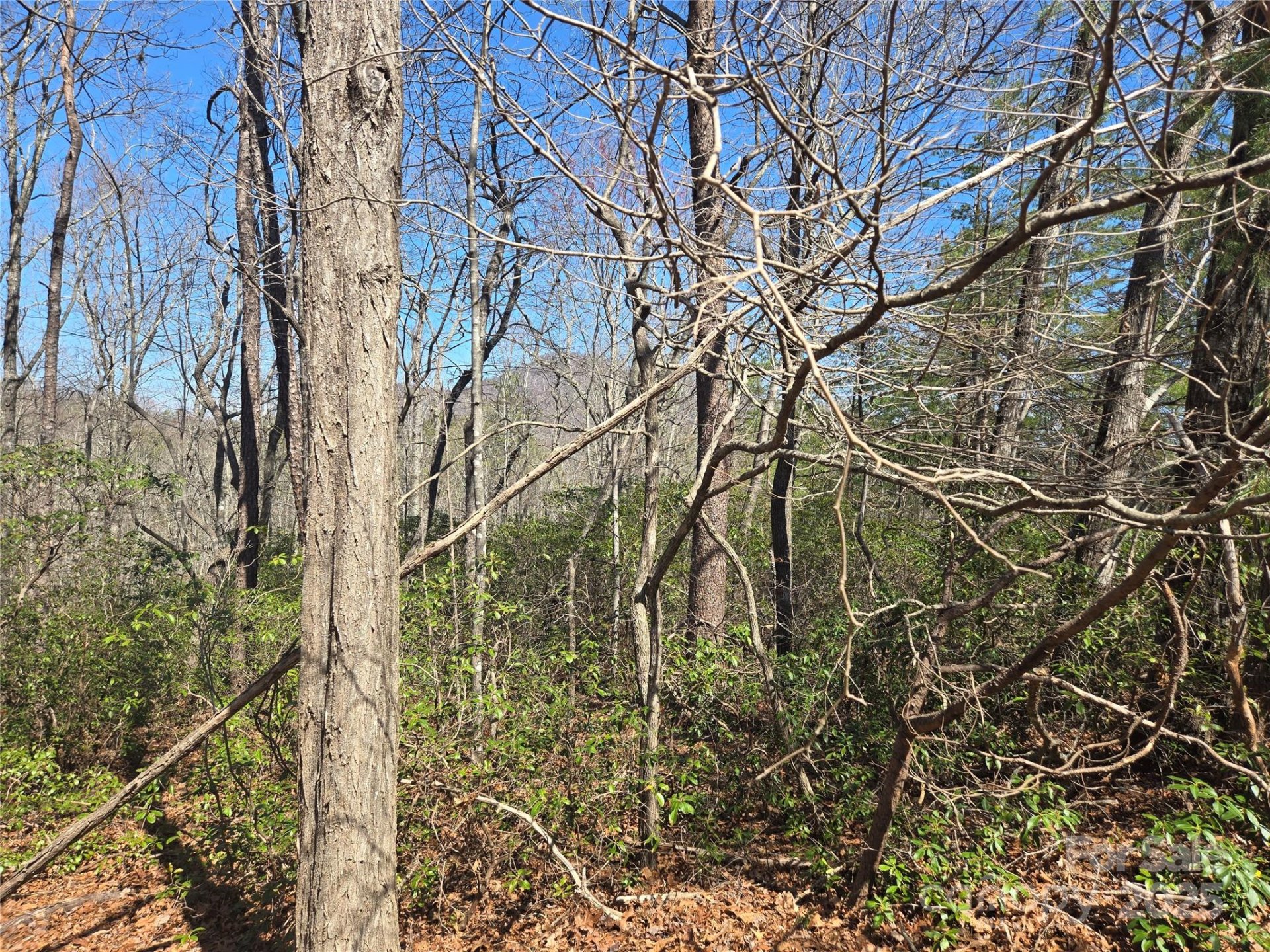Property image 2 at Lot 39 Flynn Court, Lake Lure, NC 28746