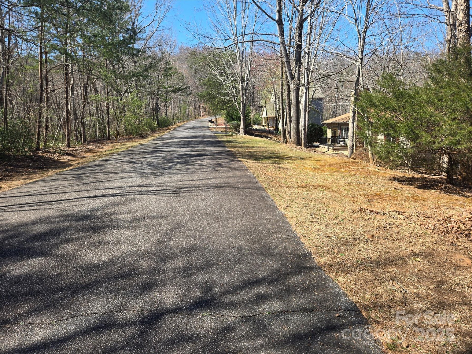 Property image 3 at Lot 39 Flynn Court, Lake Lure, NC 28746
