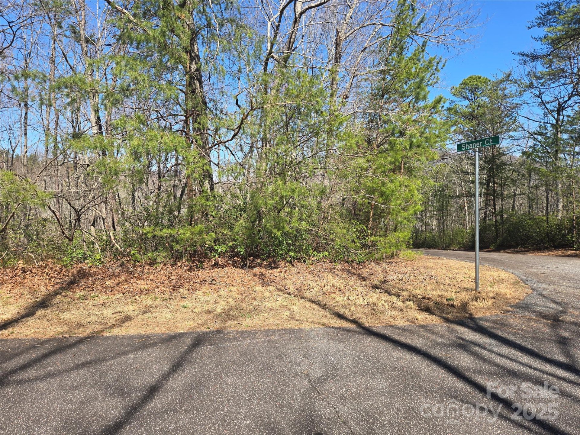 Property image 4 at Lot 39 Flynn Court, Lake Lure, NC 28746