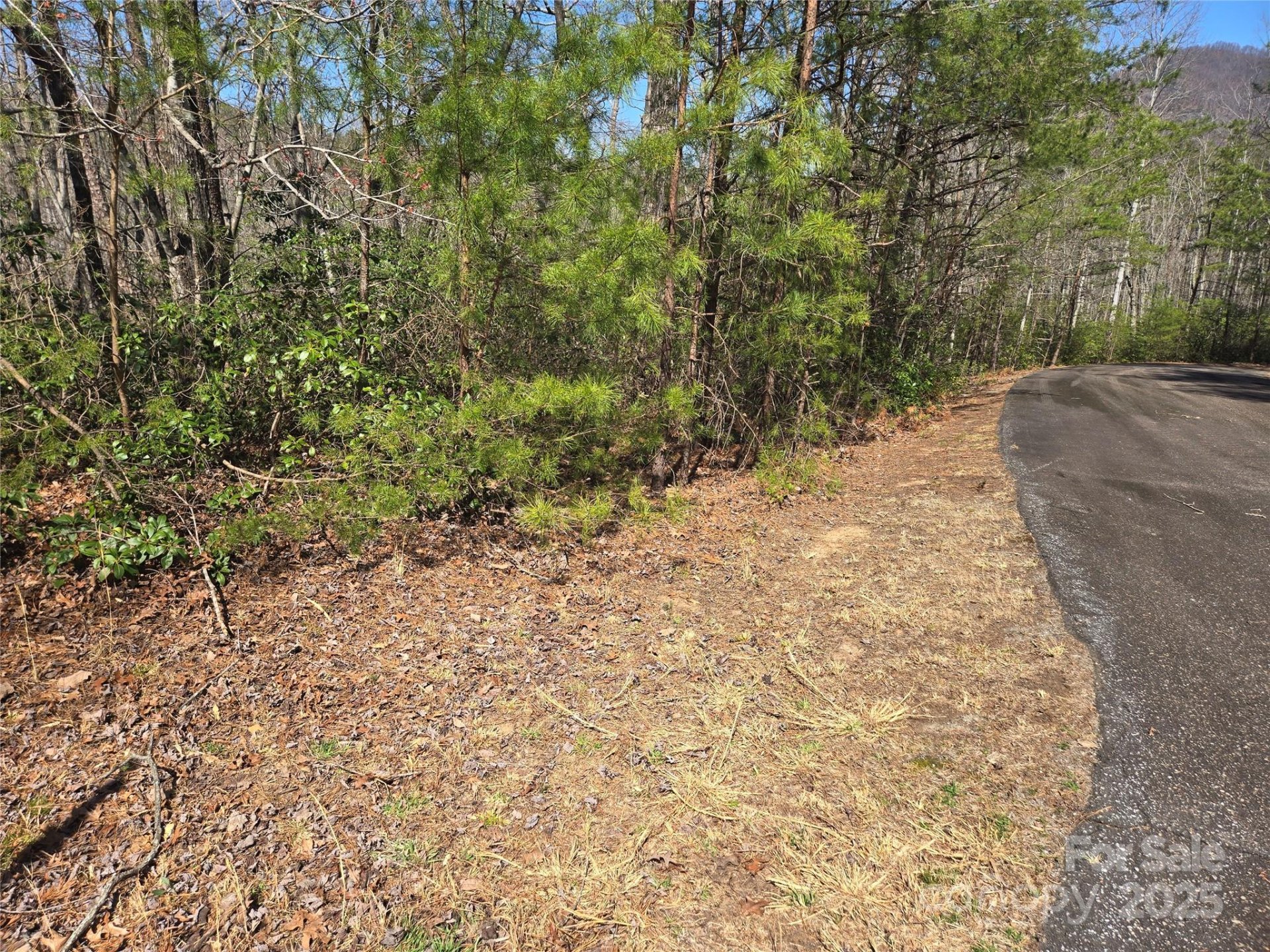 Property image 5 at Lot 39 Flynn Court, Lake Lure, NC 28746