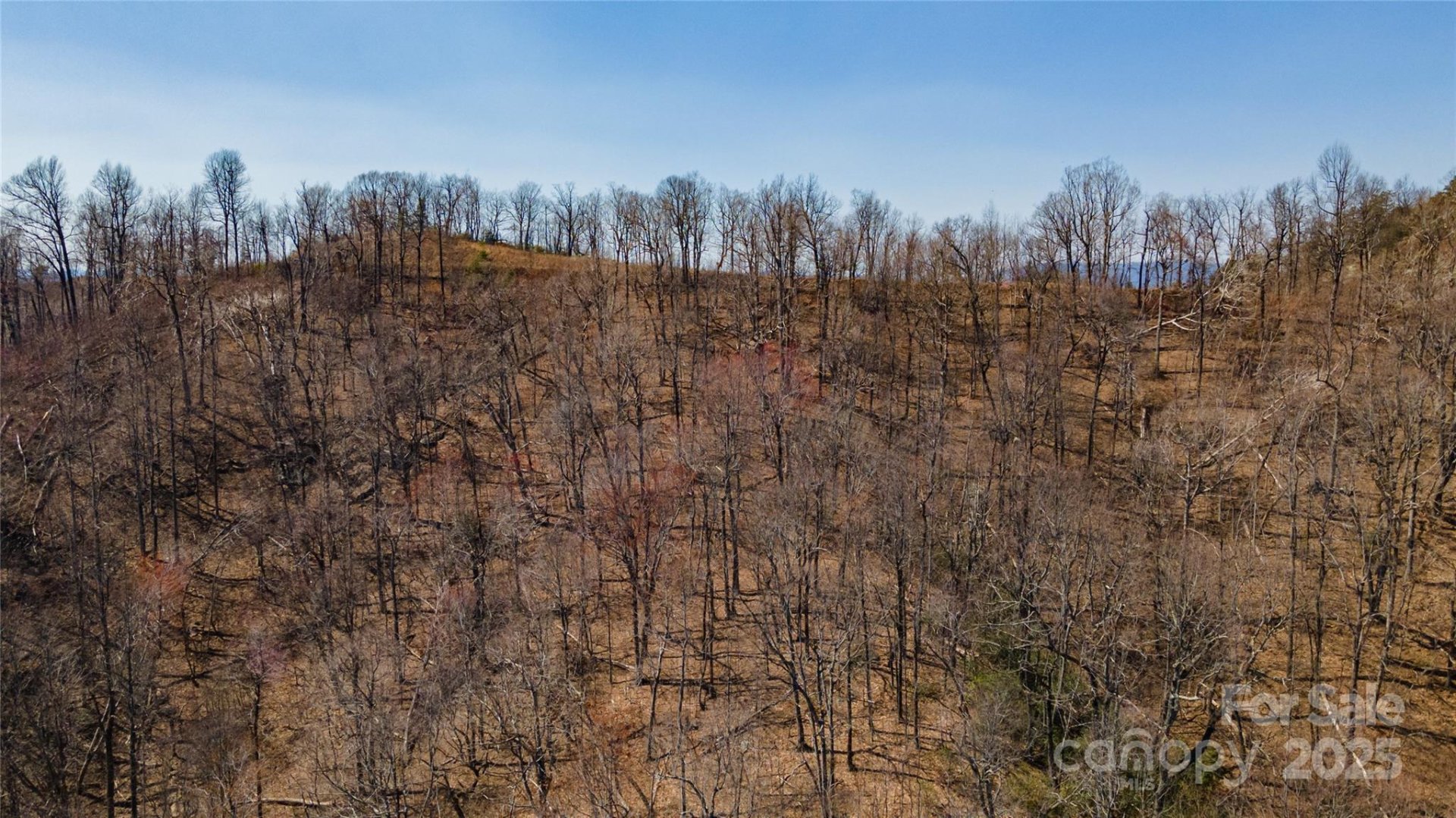 Property image 3 at 99 Devin Ridge Lane, Union Mills, NC 28167