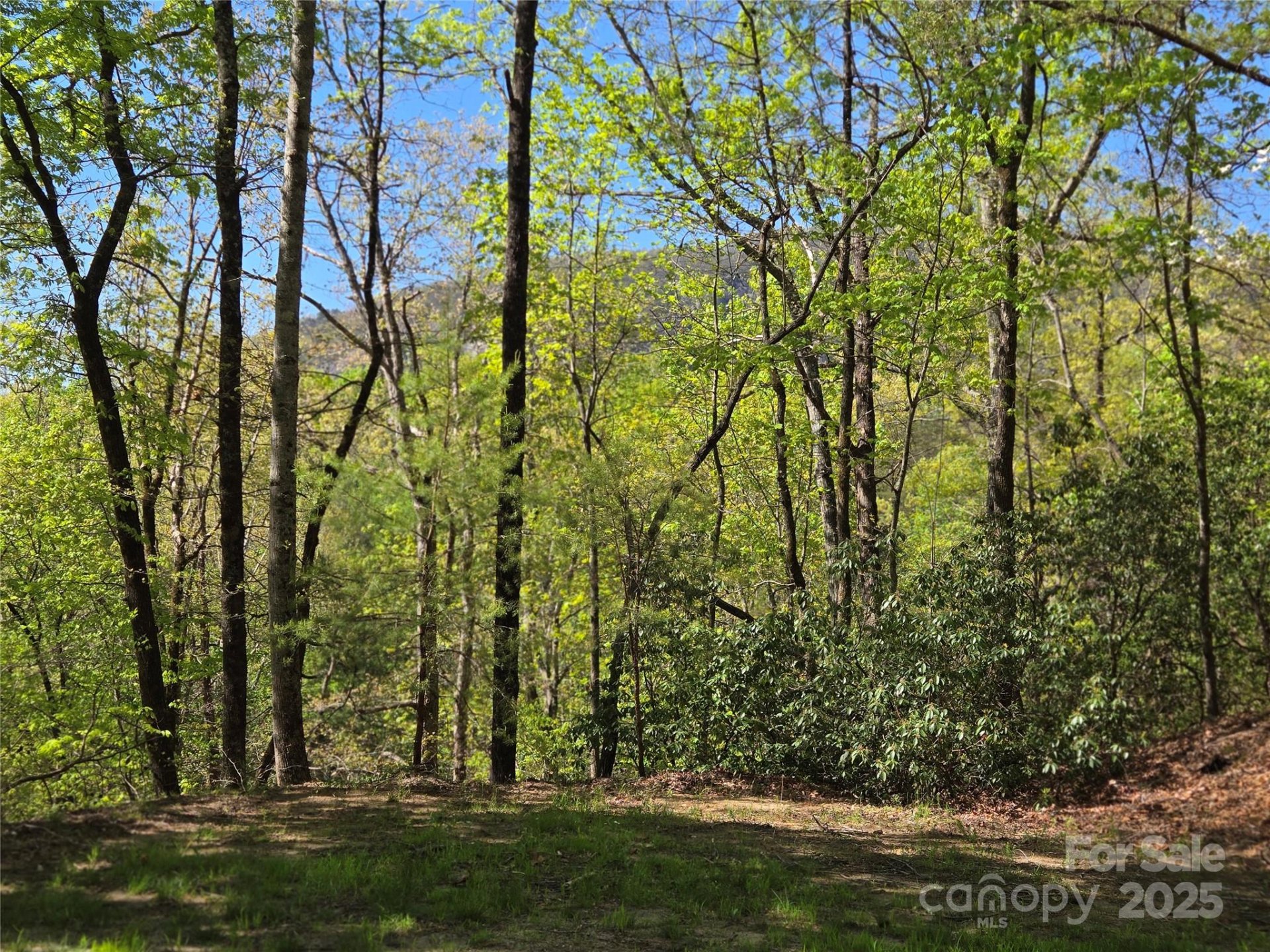 Lot 64 65 Walnut Lane