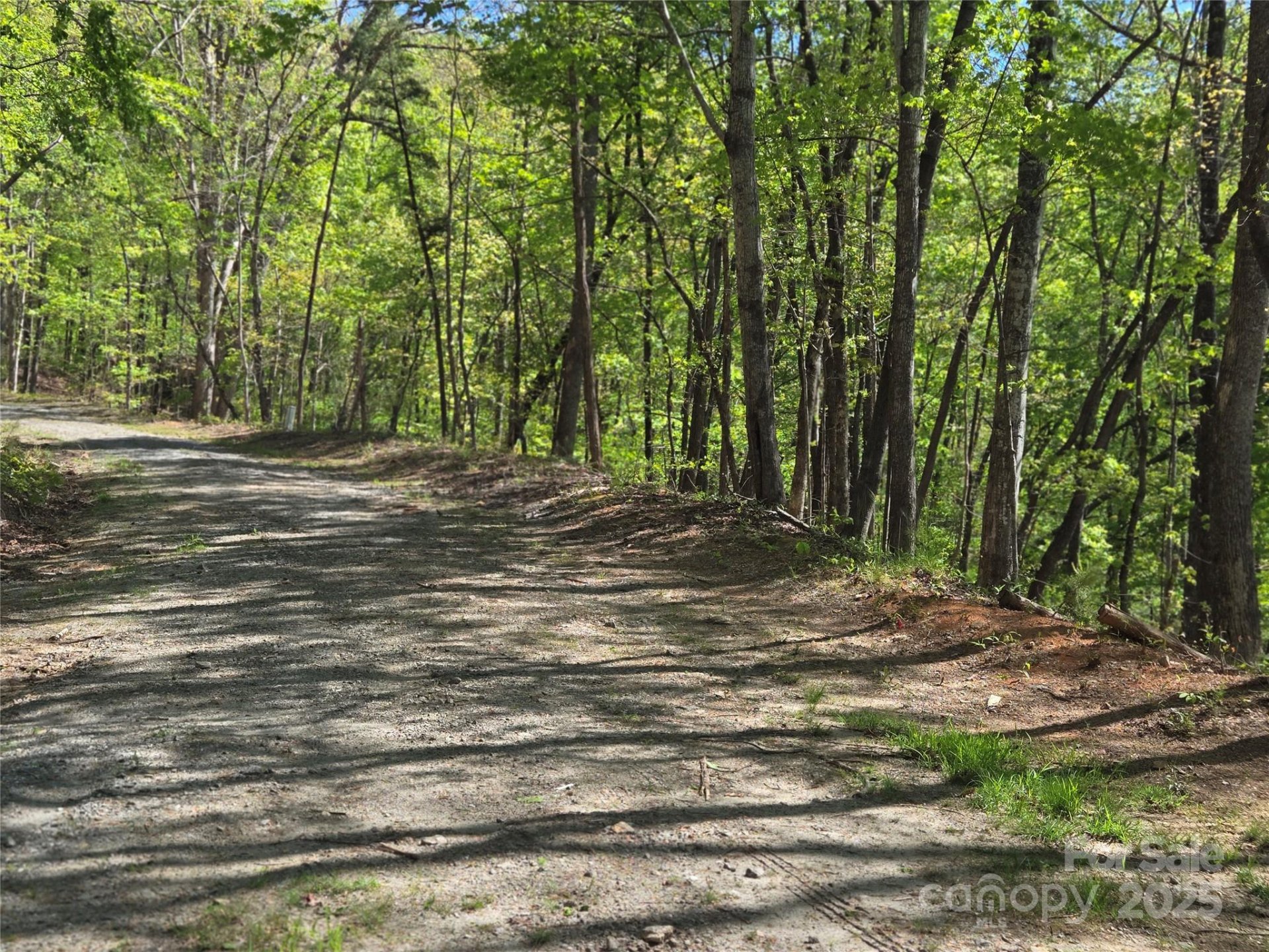 Property image 4 at Lot 64 65 Walnut Lane, Lake Lure, NC 28746