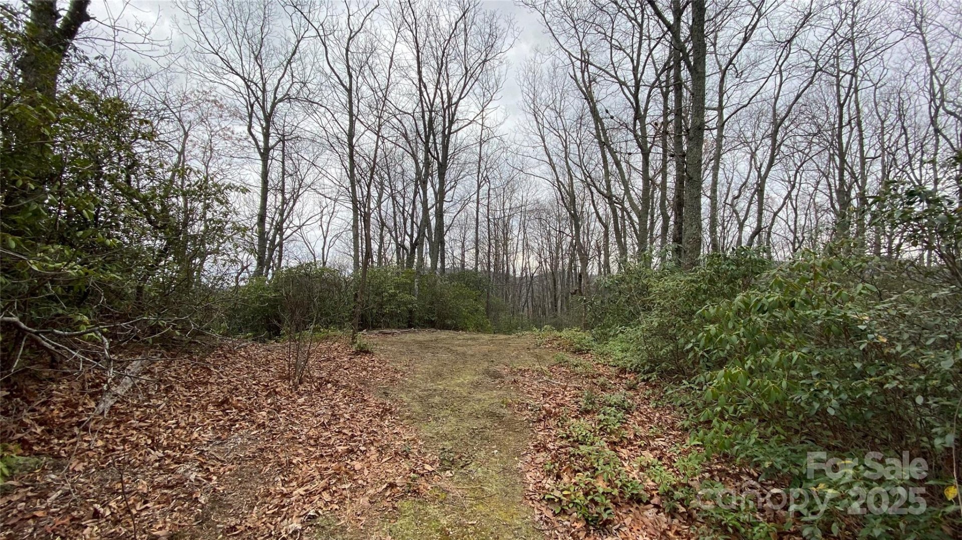 Property image 3 at 9999 Rocky Falls Drive, Black Mountain, NC 28711