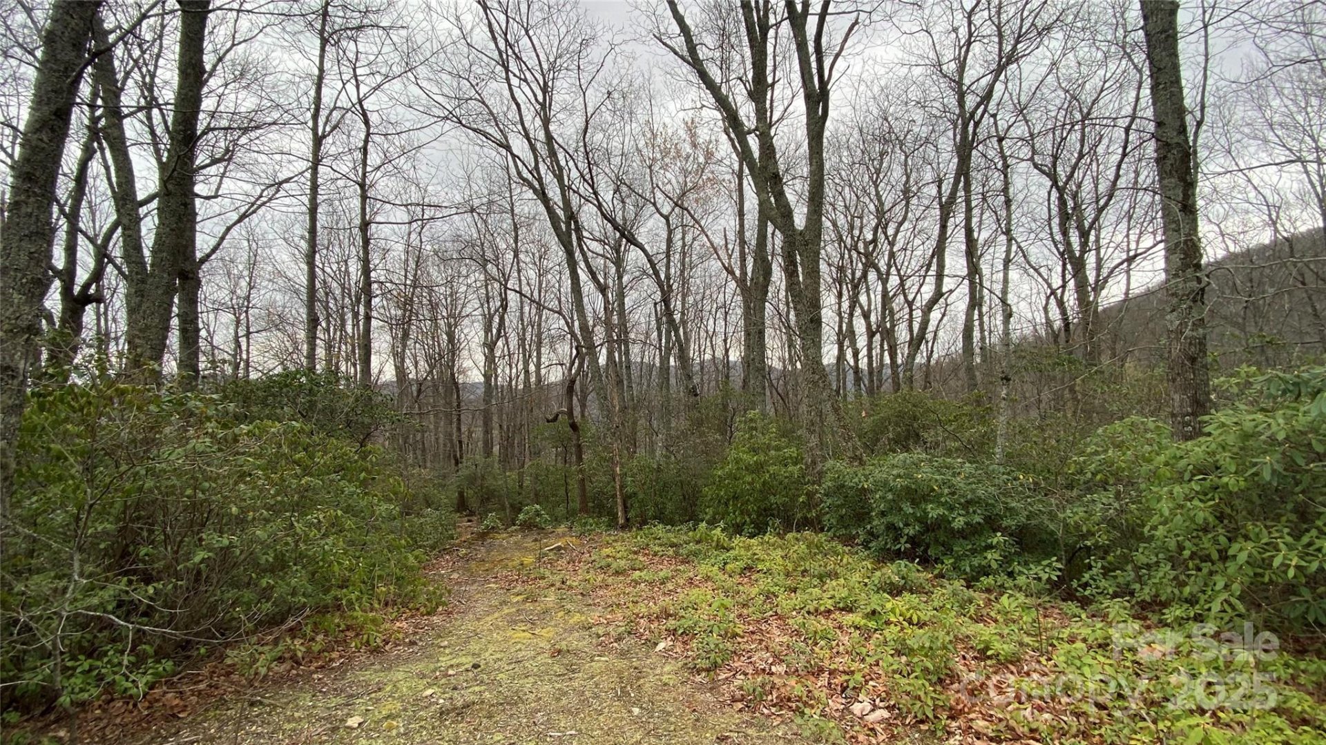 Property image 5 at 9999 Rocky Falls Drive, Black Mountain, NC 28711