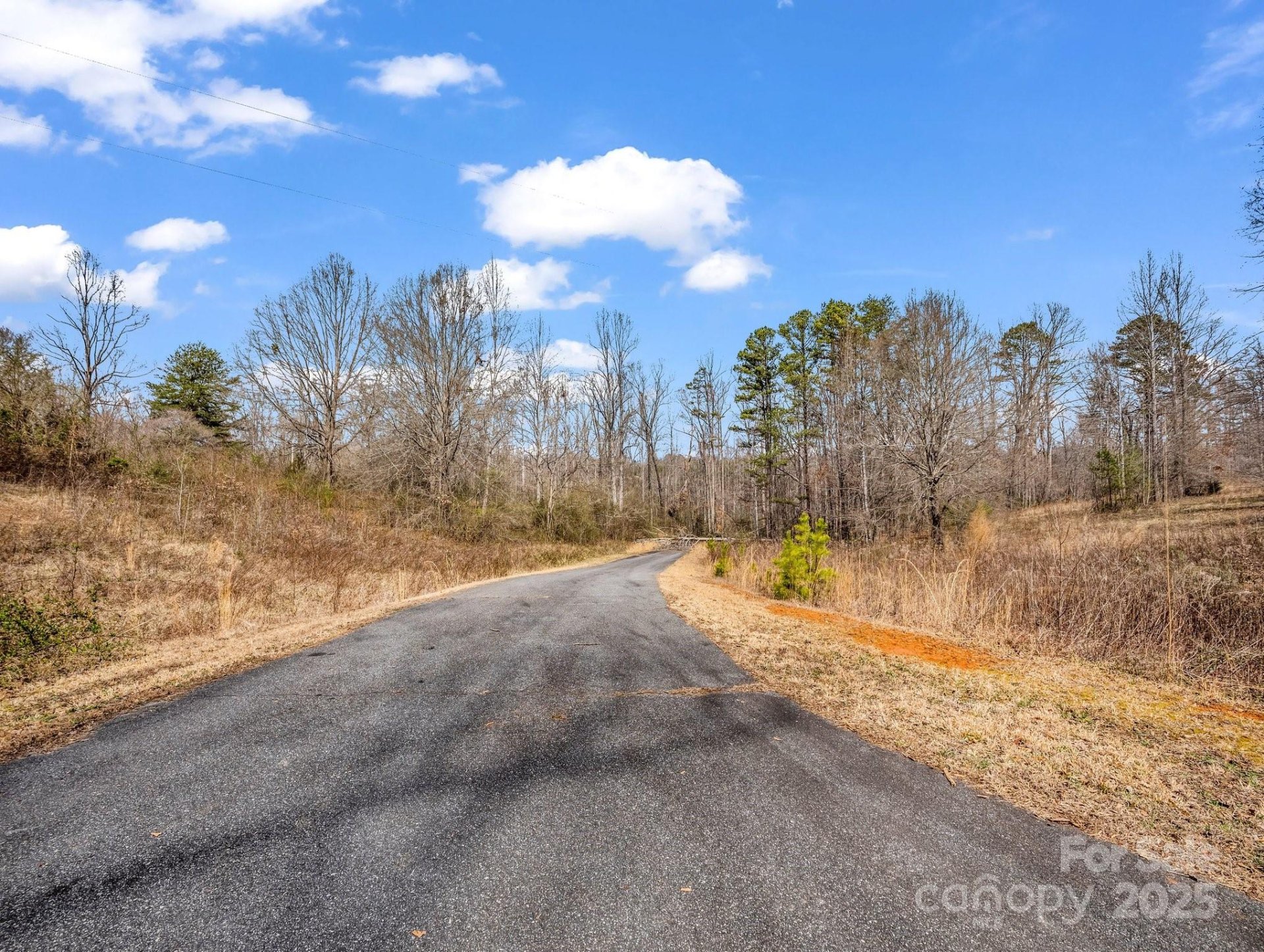 Property image 3 at 0 Freemantown Road, Rutherfordton, NC 28139
