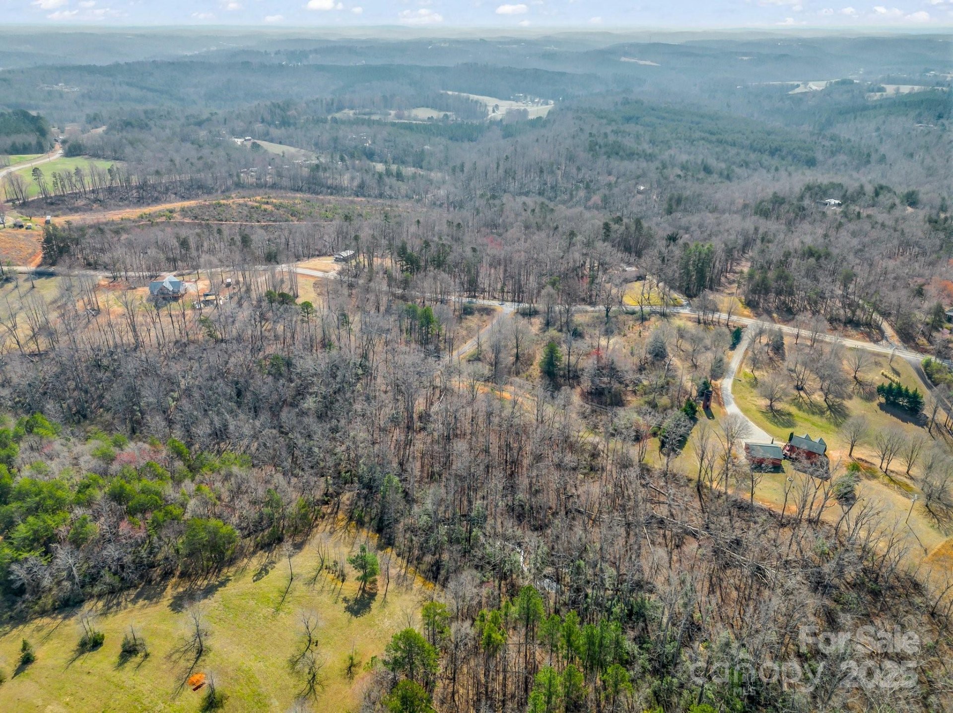 Property image 5 at 0 Freemantown Road, Rutherfordton, NC 28139