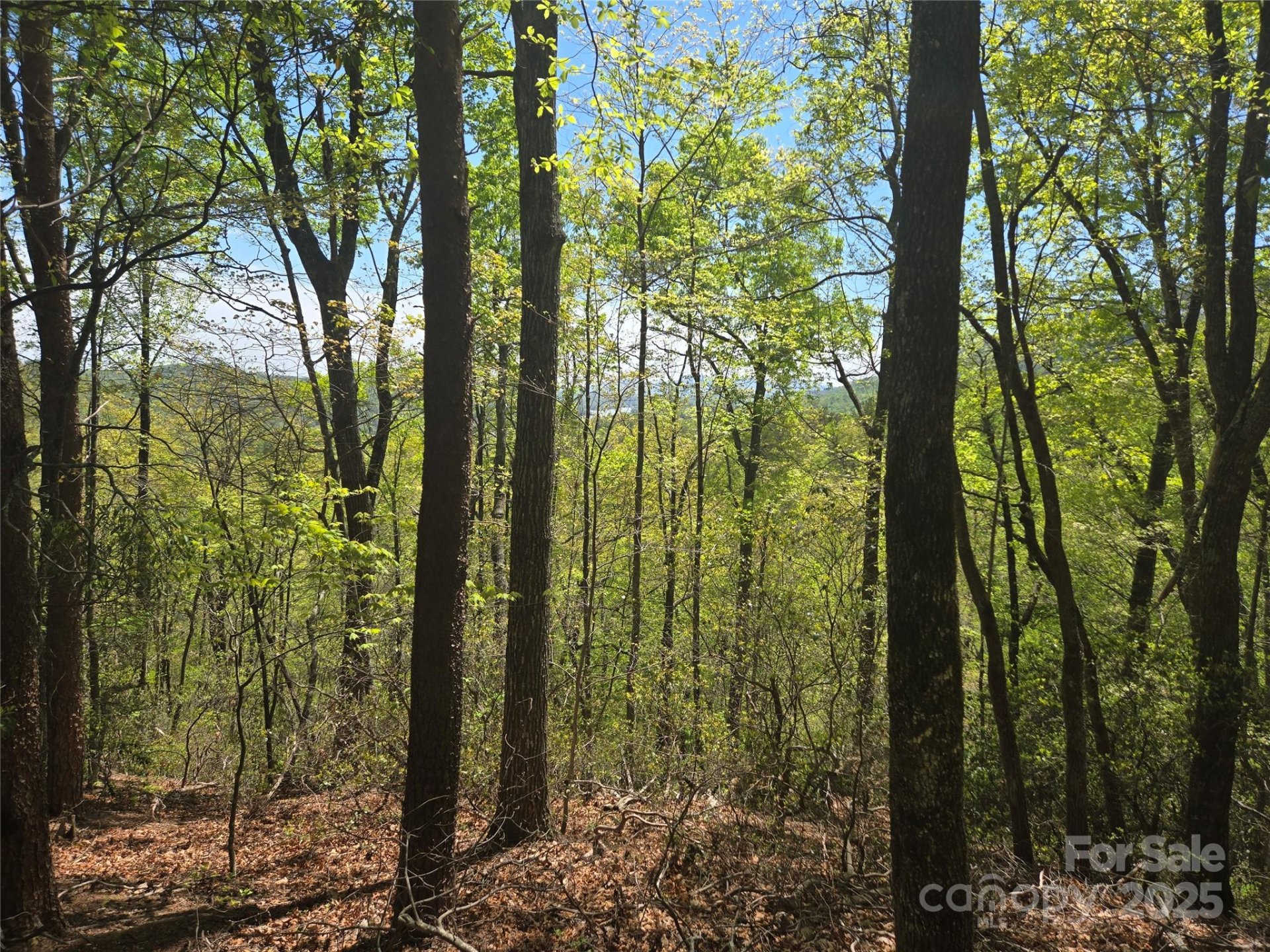 Property image 3 at Lot 114 Summit Court, Lake Lure, NC 28746