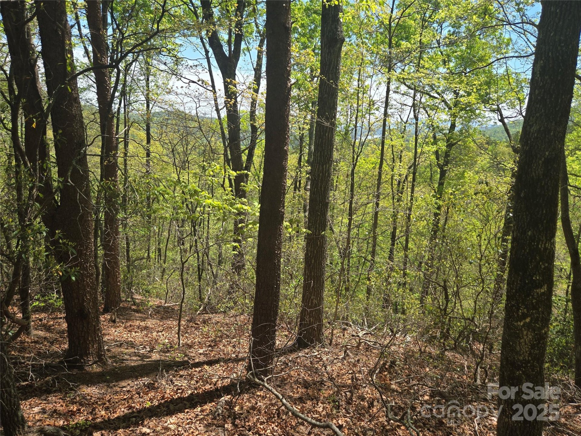 Property image 4 at Lot 114 Summit Court, Lake Lure, NC 28746