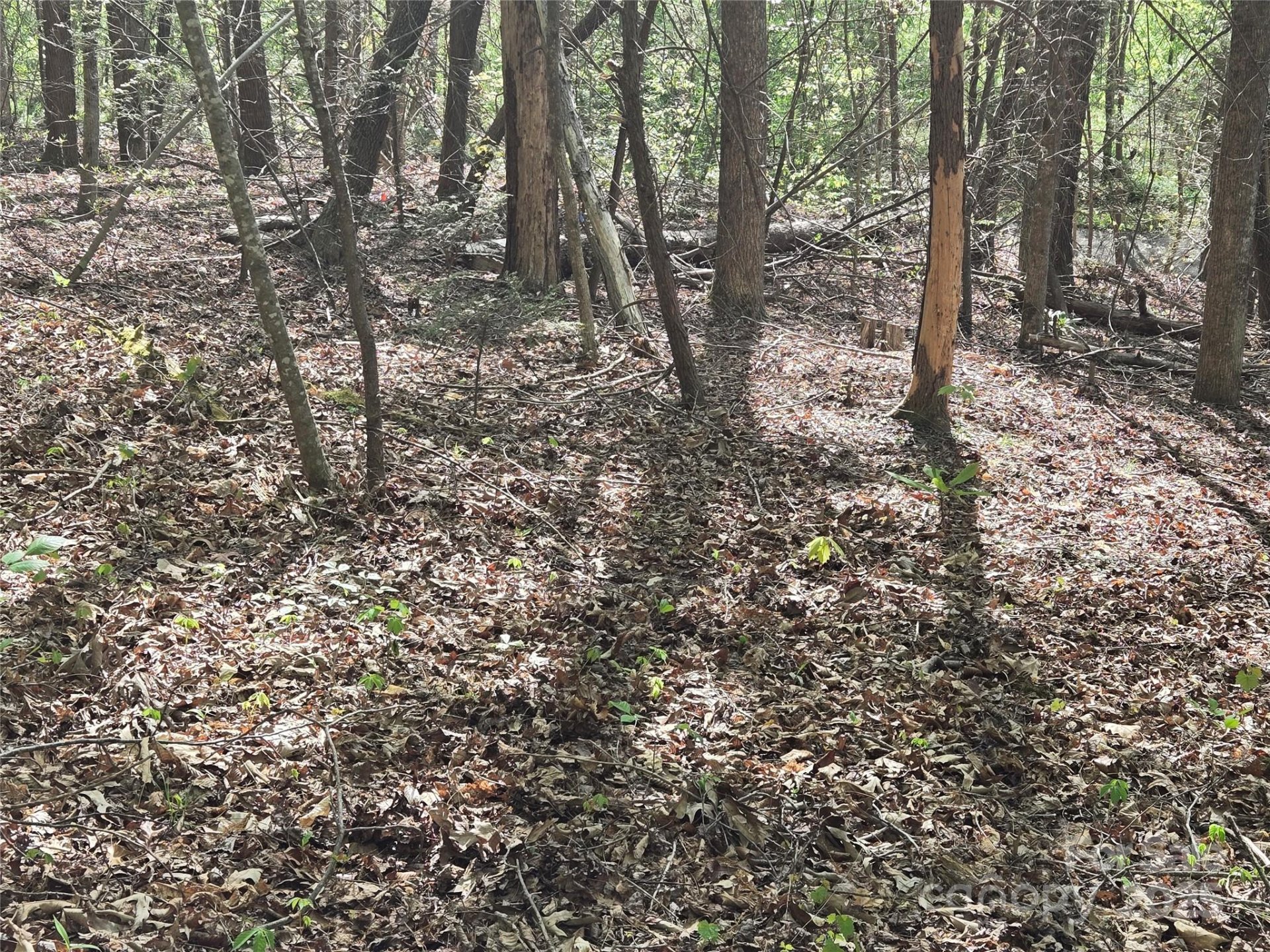 Lot 172 West Lake Drive