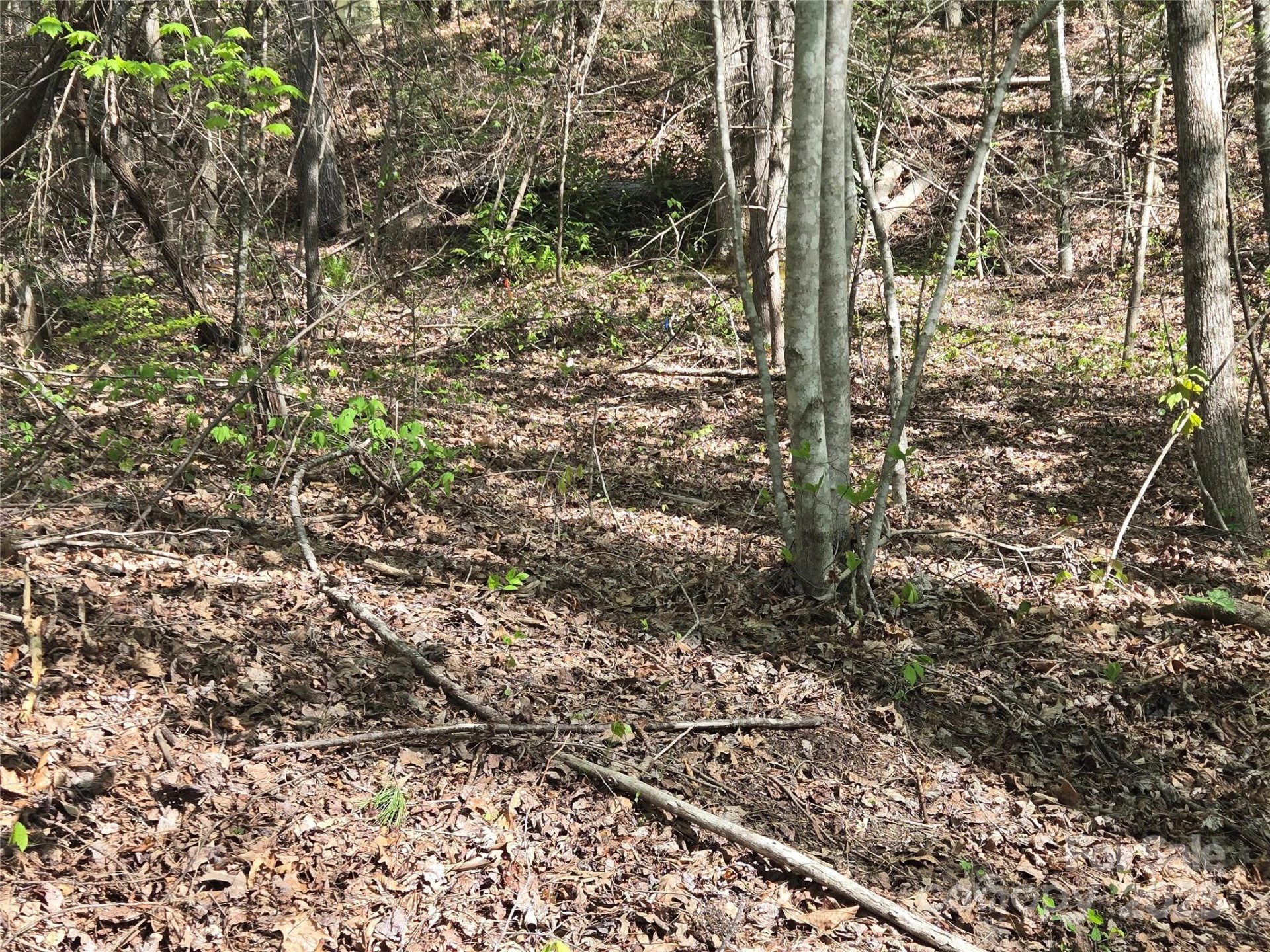 Property image 4 at Lot 172 West Lake Drive, Lake Lure, NC 28746