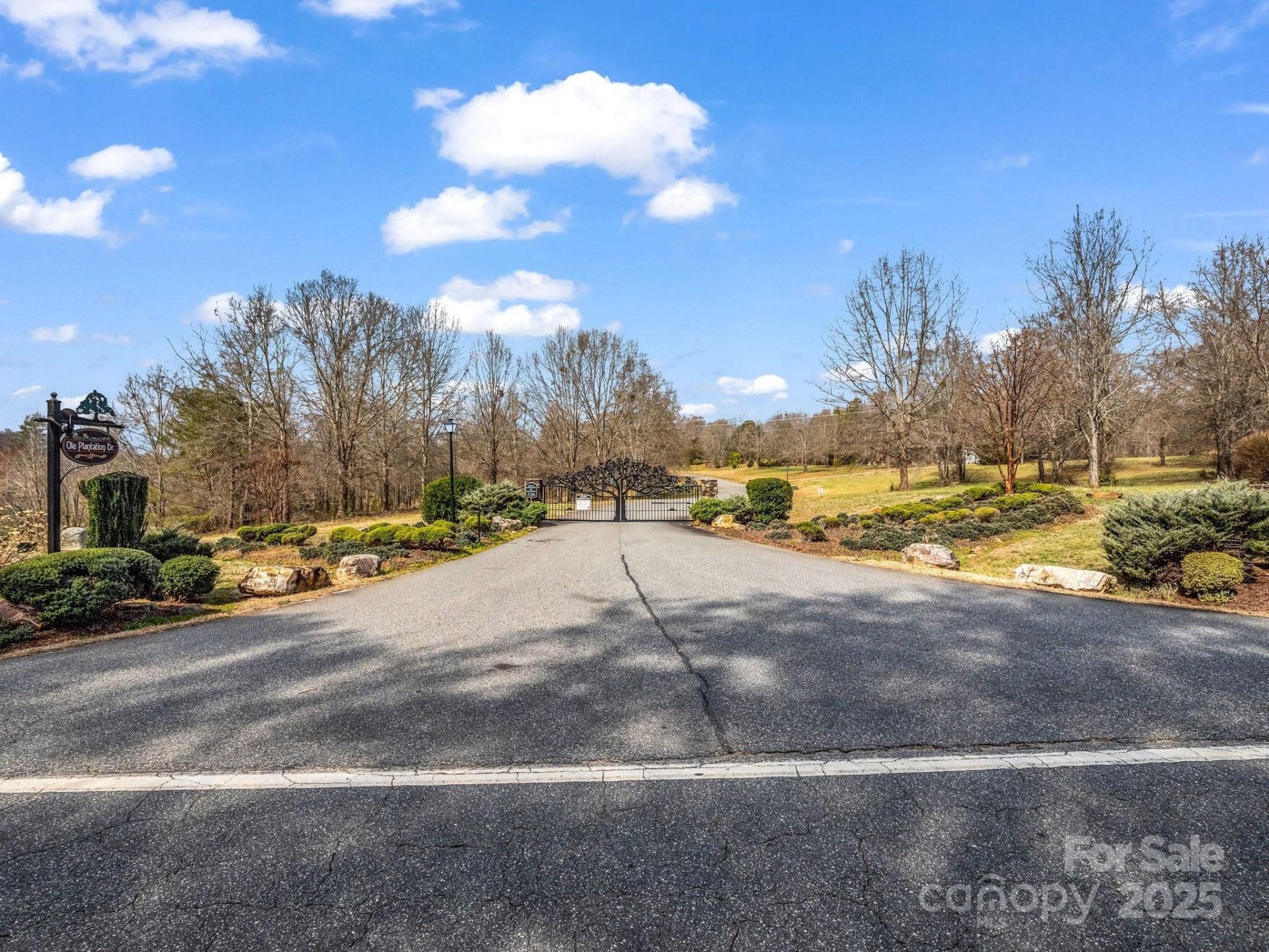 Property image 5 at 0 Ole Plantation Drive, Rutherfordton, NC 28139
