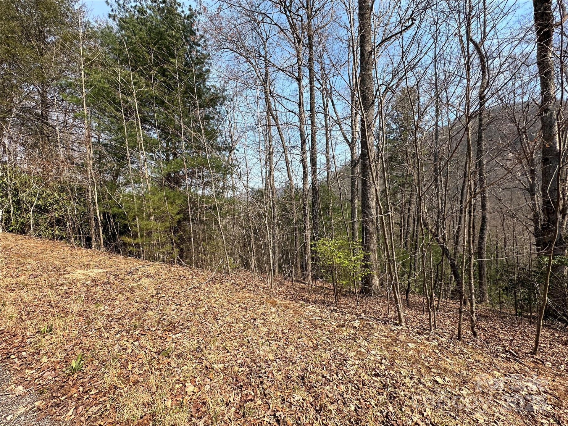 Property at Tbd Wood Stone Drive, Hendersonville, NC 28792