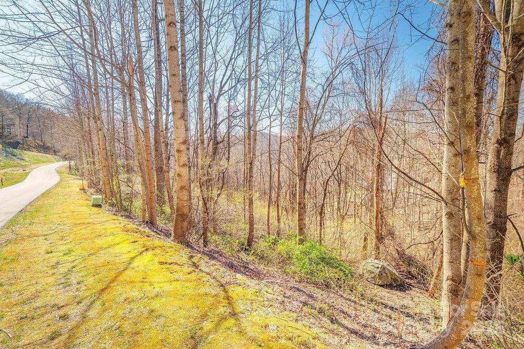 Property image 2 at 461 Somersby Parkway, Hendersonville, NC 28739
