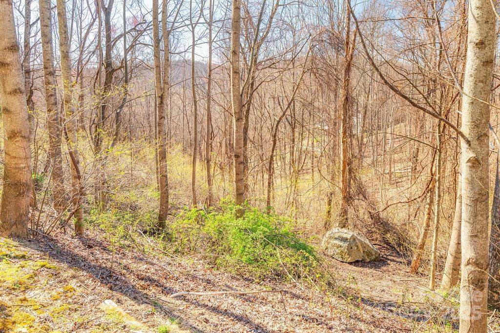 Property image 3 at 461 Somersby Parkway, Hendersonville, NC 28739