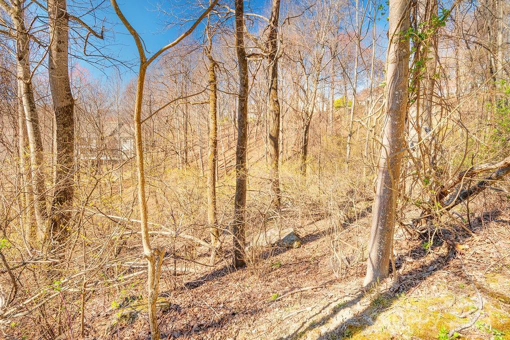 Property image 4 at 461 Somersby Parkway, Hendersonville, NC 28739