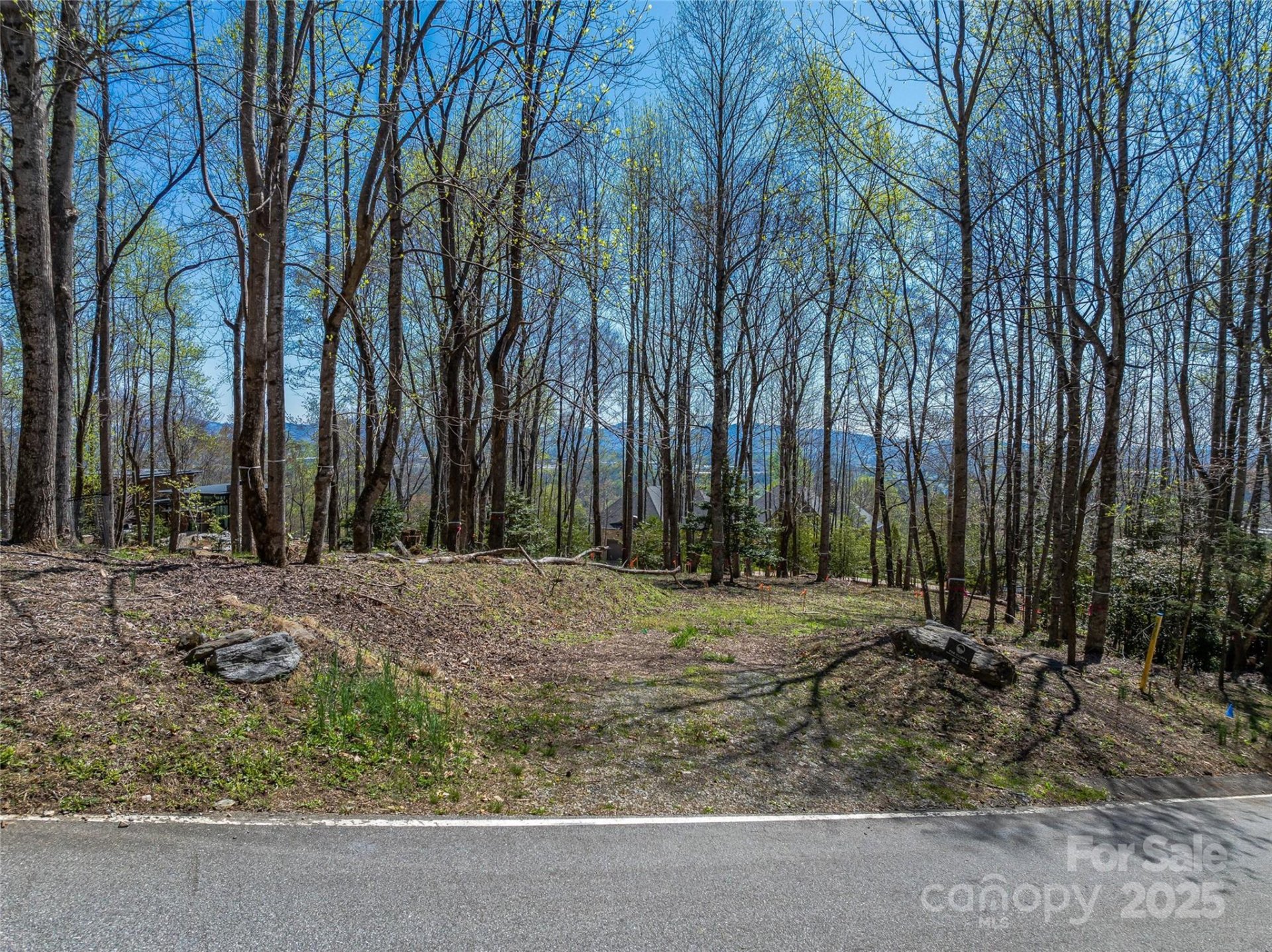 Property image 5 at 96 Split Rock Trail, Arden, NC 28704