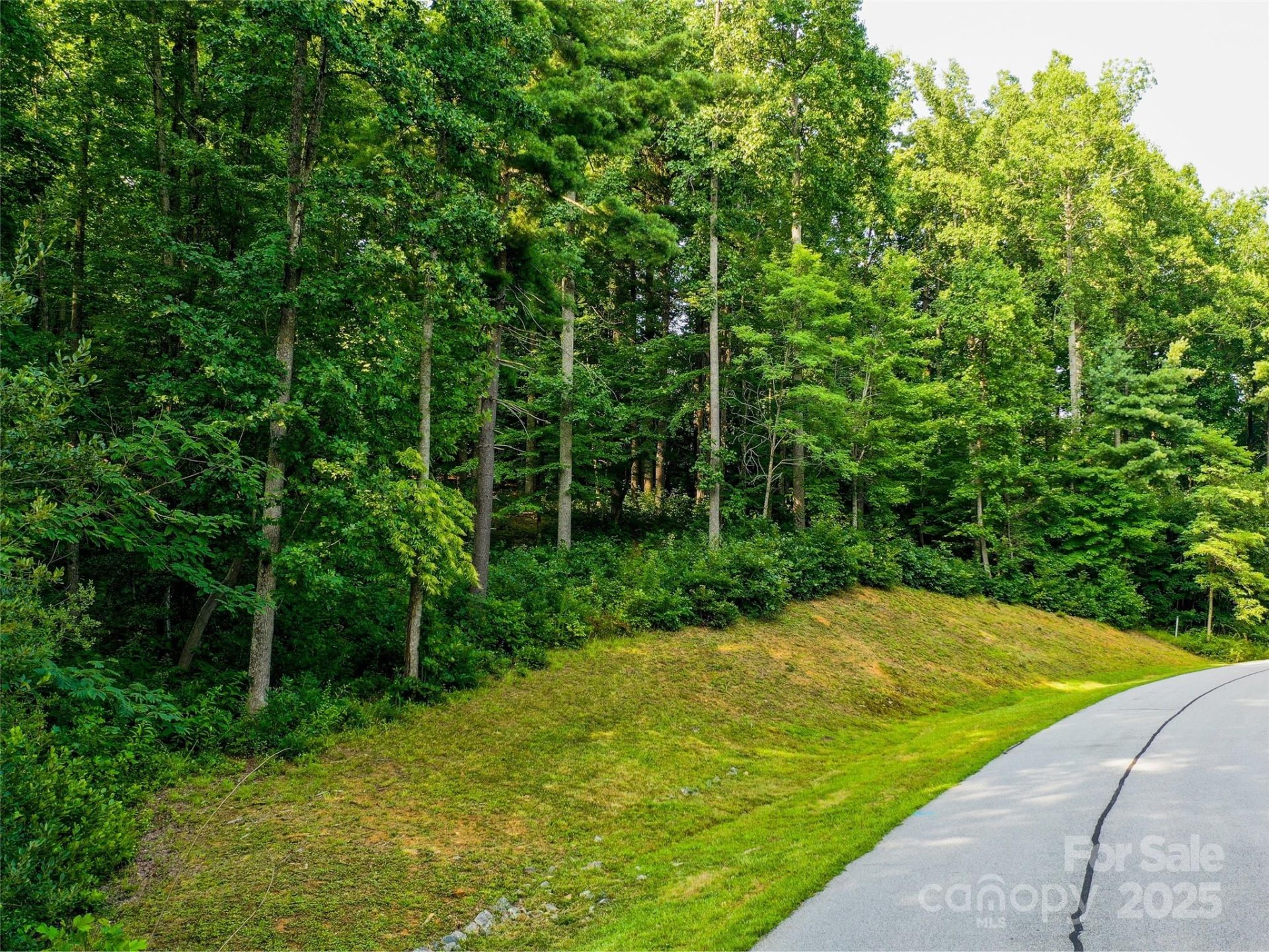 Property image 3 at 0 Freedom Trail Court, Zirconia, NC 28790