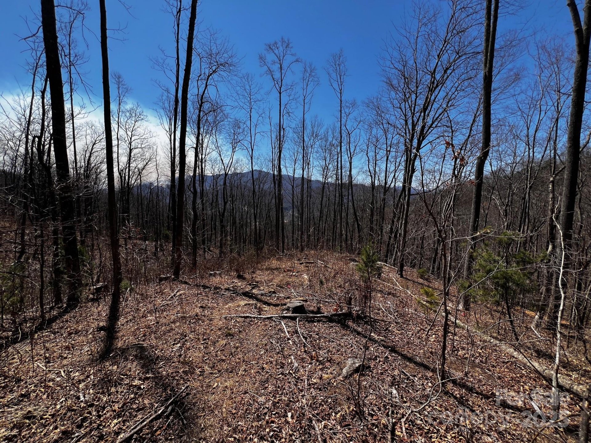 Property image 1 at 0 Rocky Face Drive, Canton, NC 28716