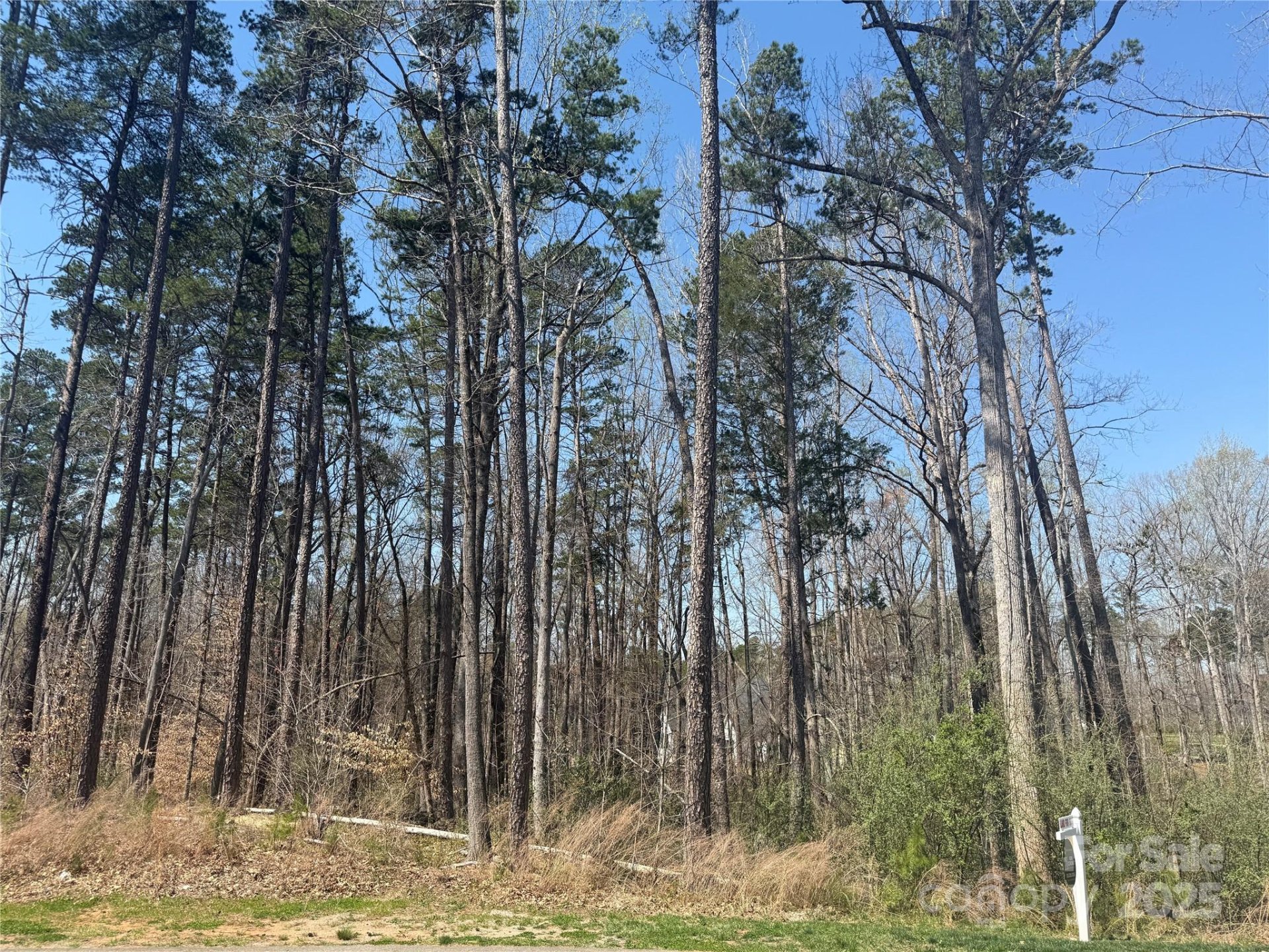 15013 Blount Road