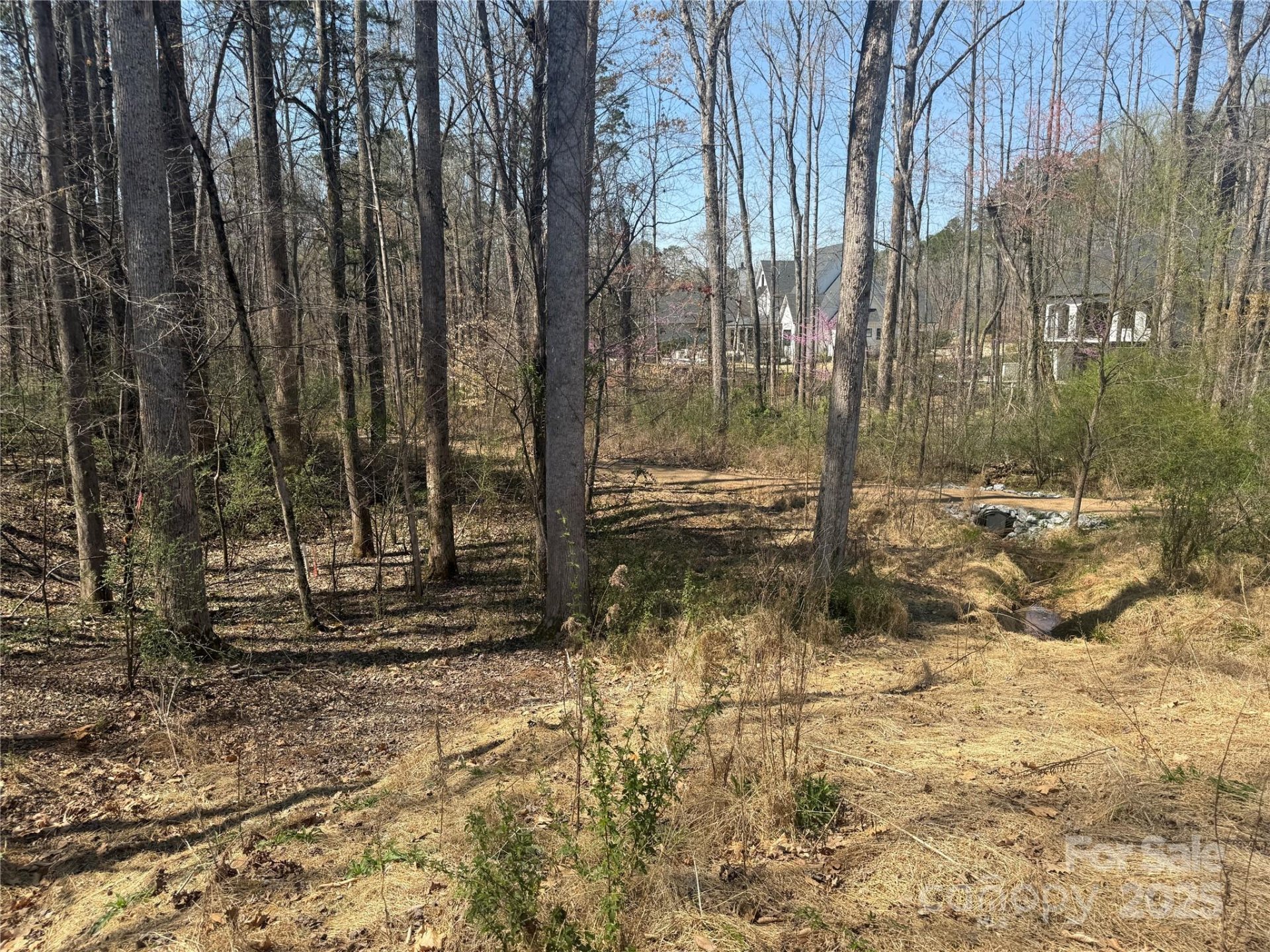 Property image 3 at 15013 Blount Road, Davidson, NC 28036