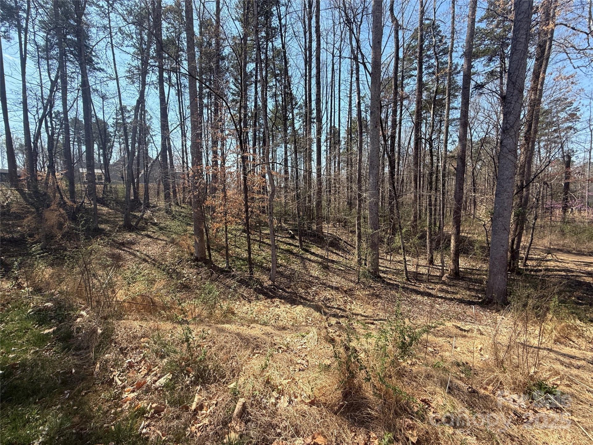 Property image 4 at 15013 Blount Road, Davidson, NC 28036