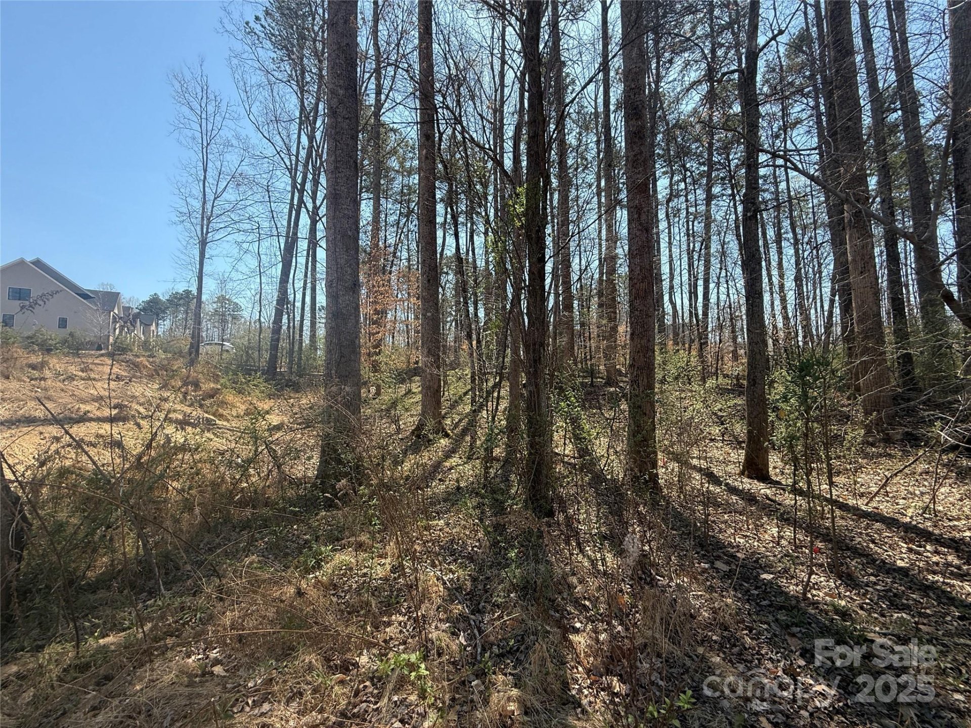 Property image 5 at 15013 Blount Road, Davidson, NC 28036