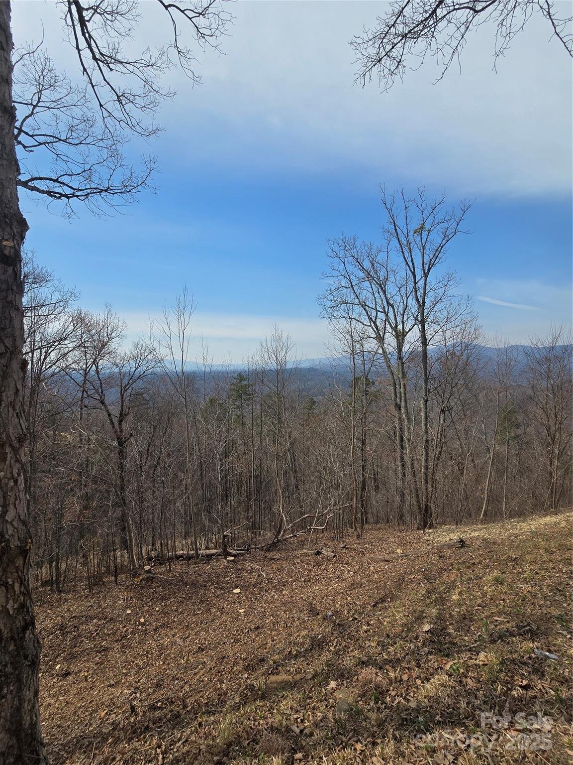 Property image 3 at 00 Golden Ridge Drive, Lake Lure, NC 28746
